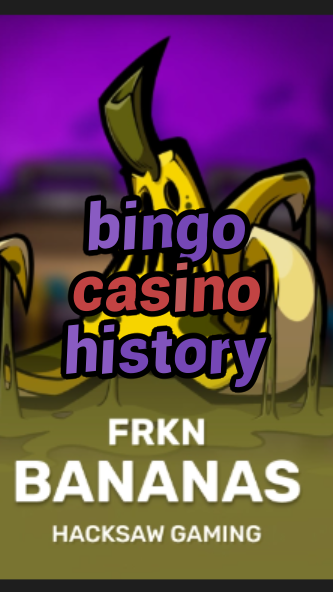 bingo casino history-3xn3u5udepyz9m9w5iat.com